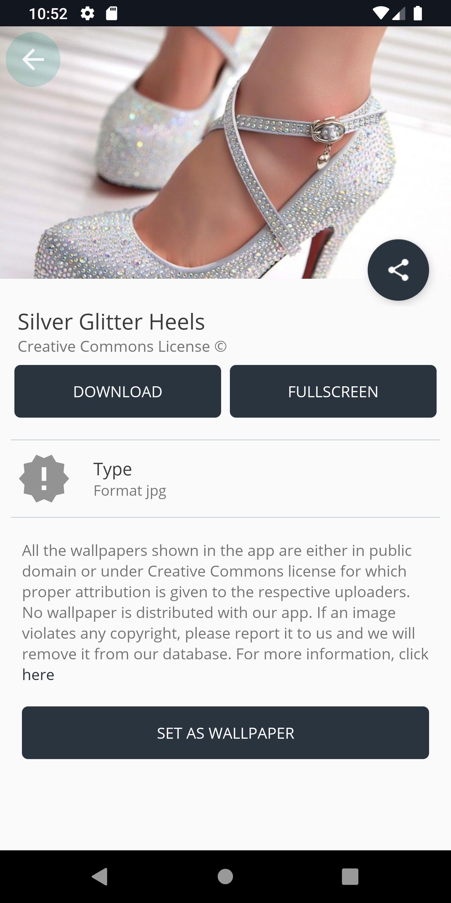 Silver Glitter Heels