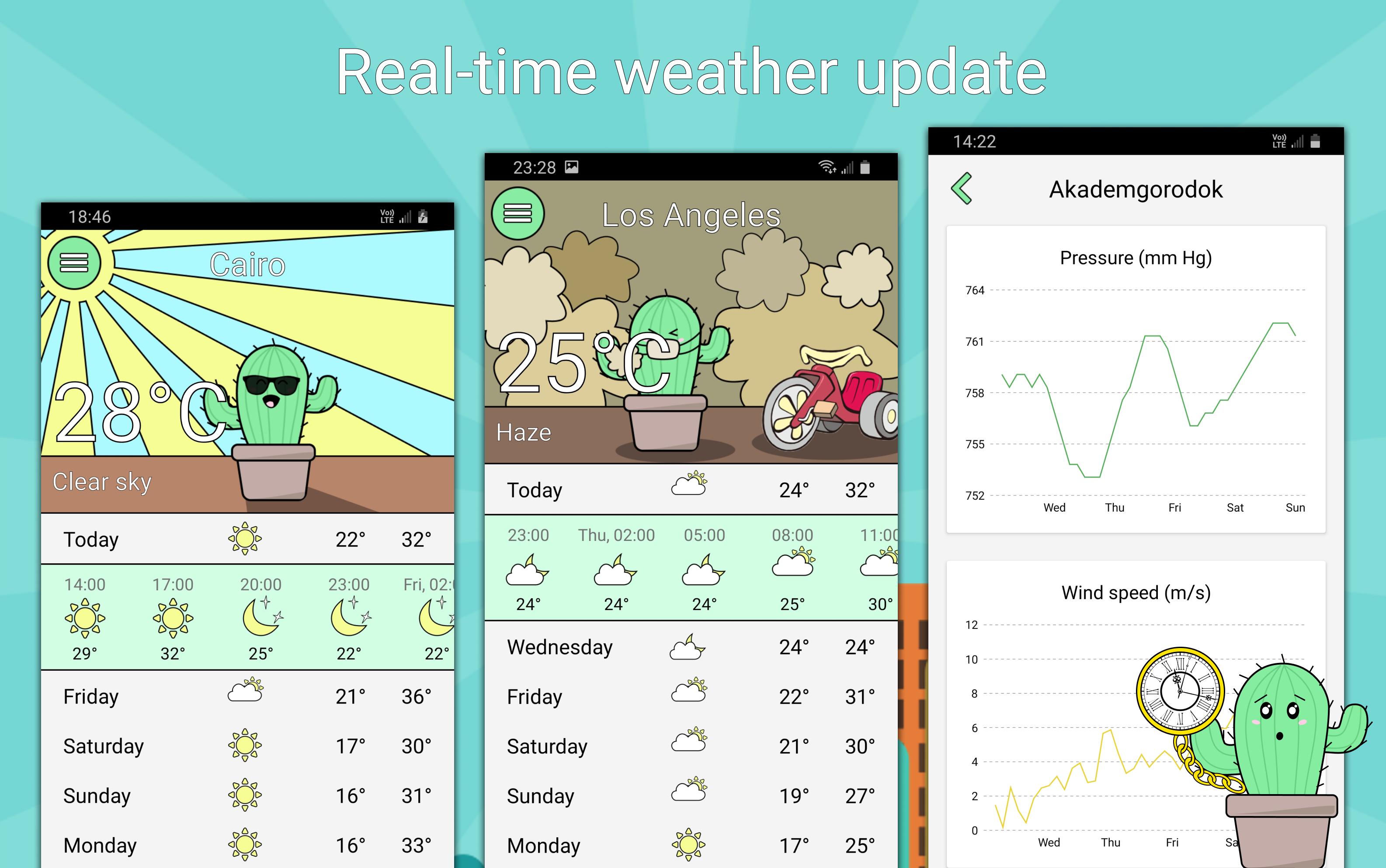 Cactusini live weather