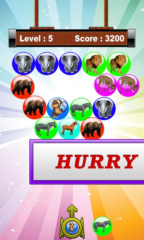 Women dress fashion suit