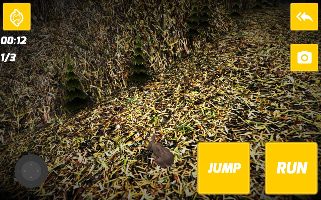 Rabbit Jumping Game