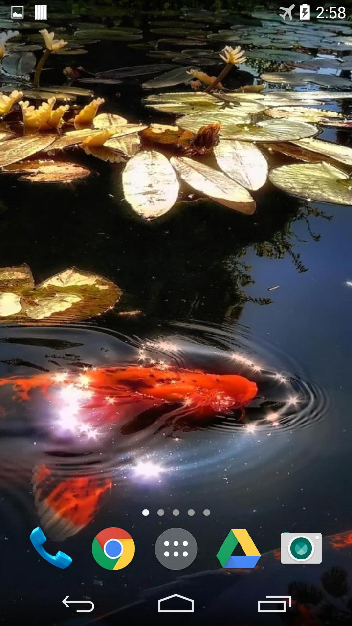 Koi 3D Live Wallpaper