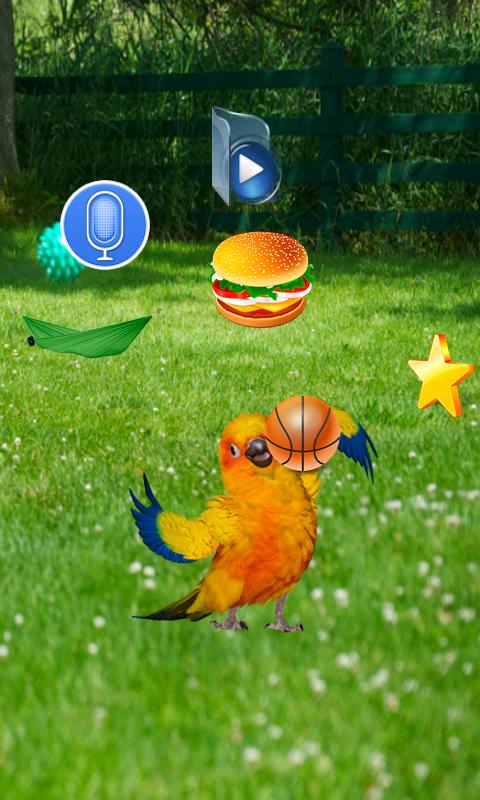 Funny Talking Parrot