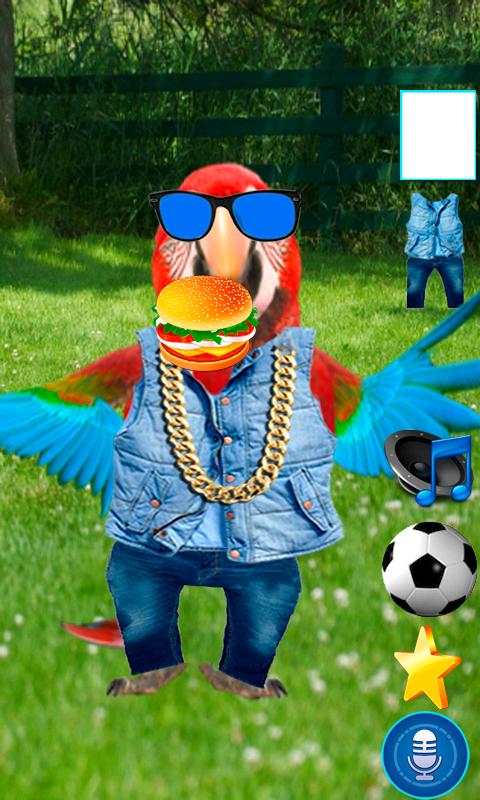 Funny Talking Parrot