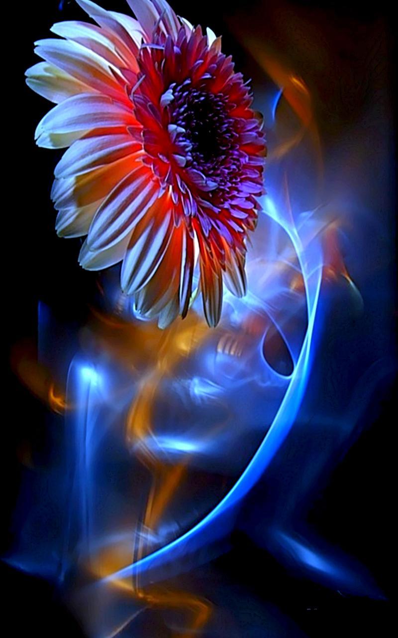 Shining Flowers Live Wallpaper