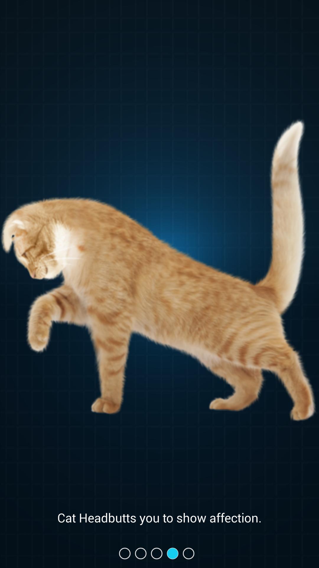 Cat Language Translator