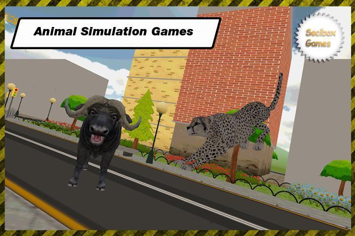 Wild Leopar Simulation