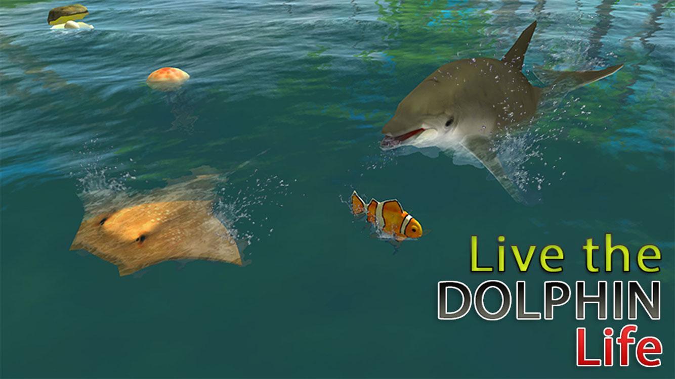 Real Dolphin Simulator