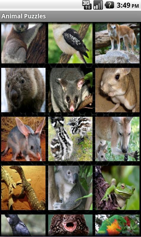 Aussie Animal Puzzles
