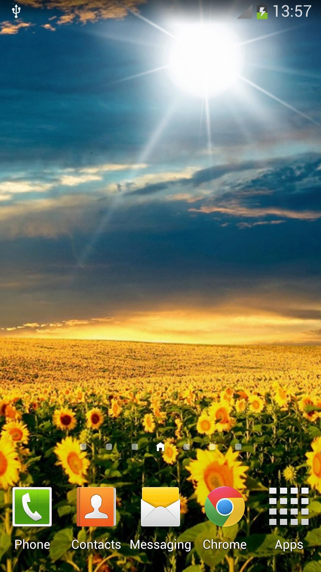 Sunflowers Live Wallpaper