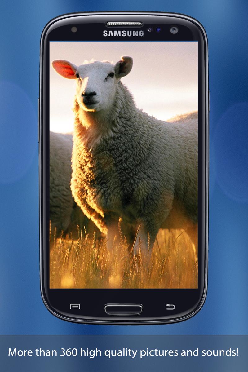 Soundly -fun learning for kids