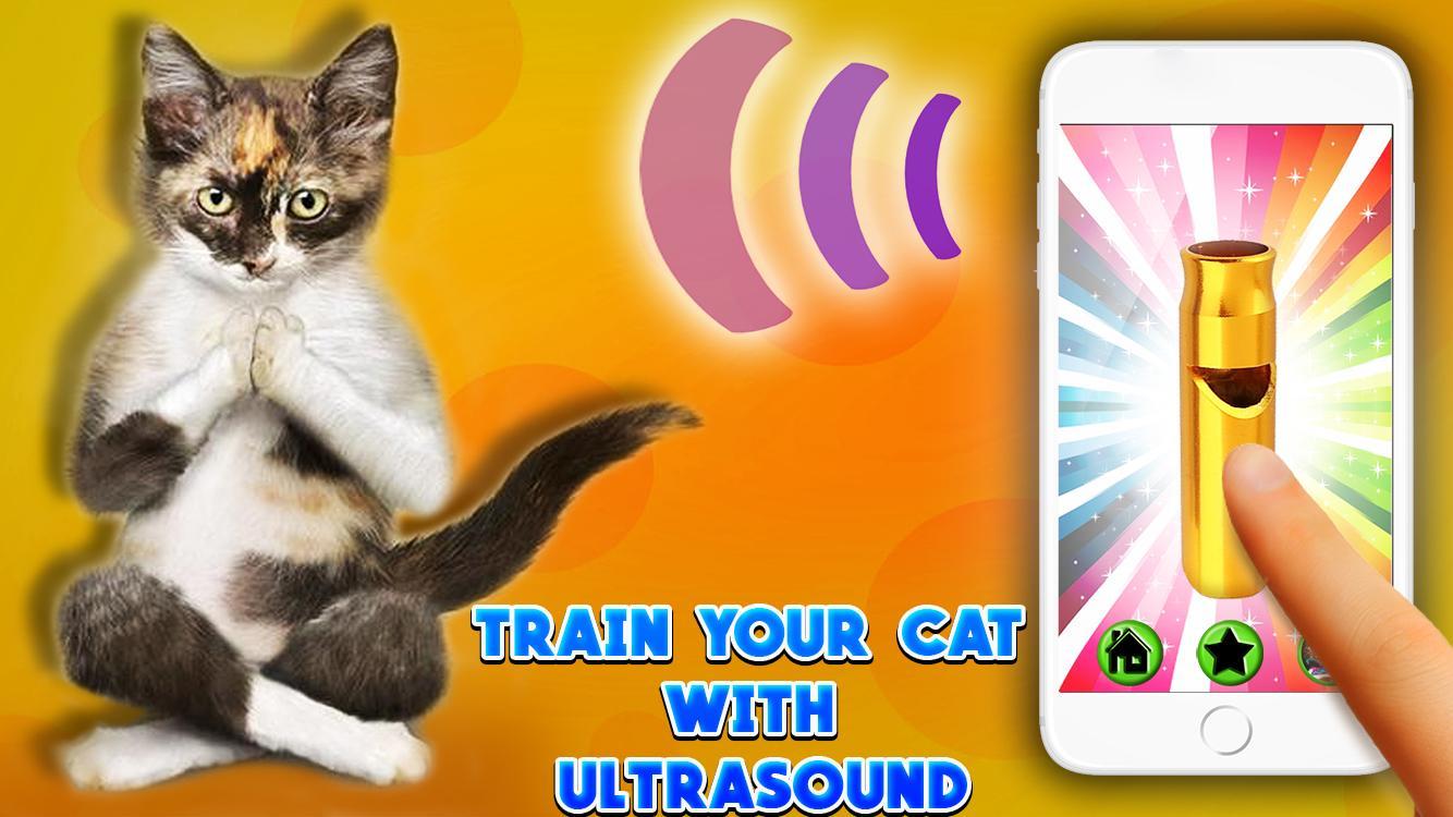 Ultrasound Cat Whistle