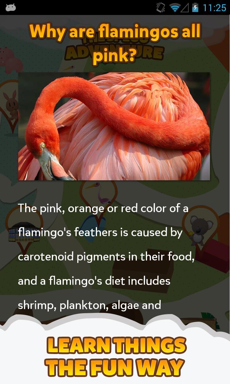 Singapore Zoo Adventure