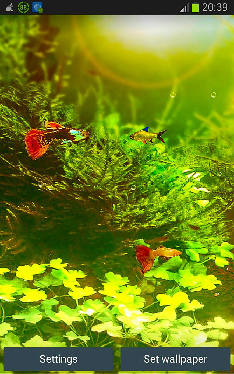 Fish Tank HD Wallpapers App