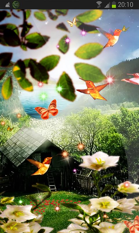 Bird House Wallpaper HD 3D