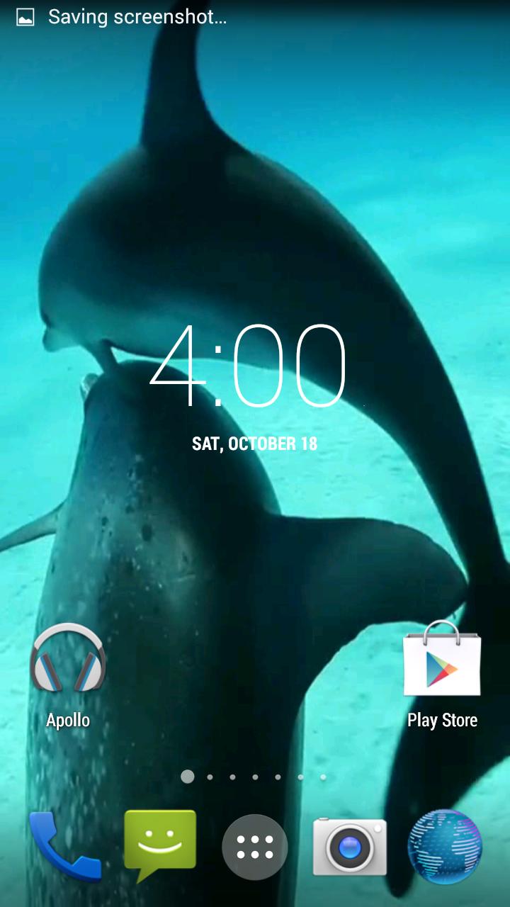 Dolphins HD. Video Wallpaper