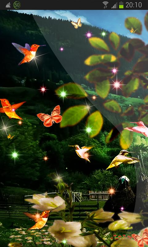 Bird House Wallpaper HD 3D