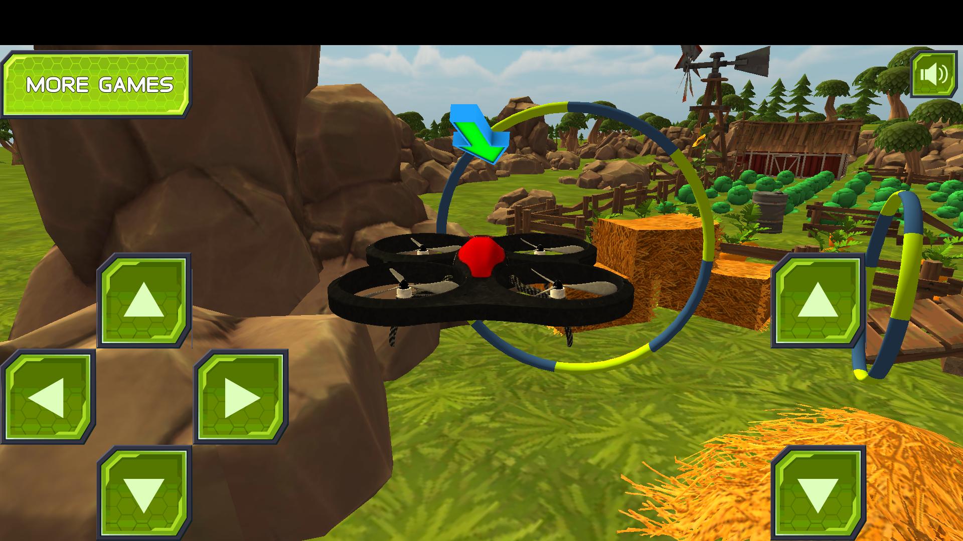 Real Drone Simulation