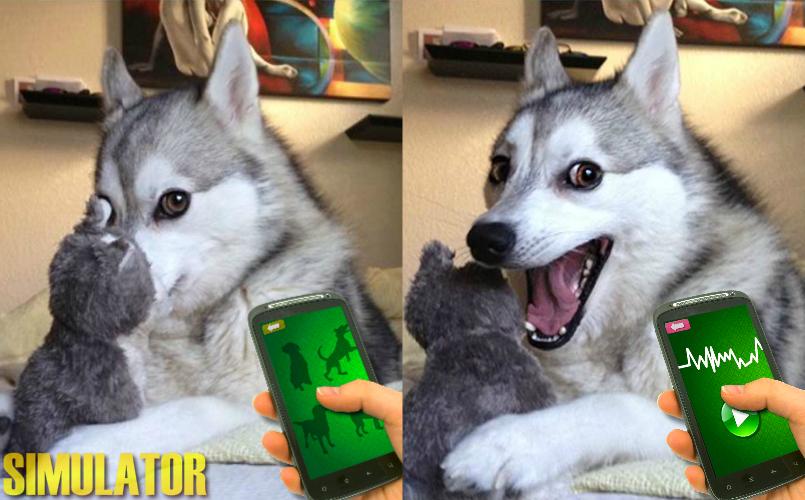 Tease Dogs Sounds Simulator