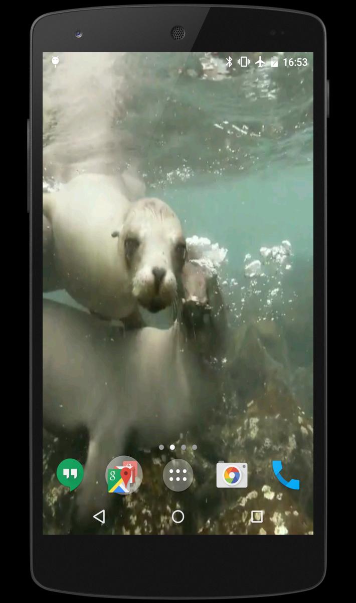 4K Video Live Wallpaper