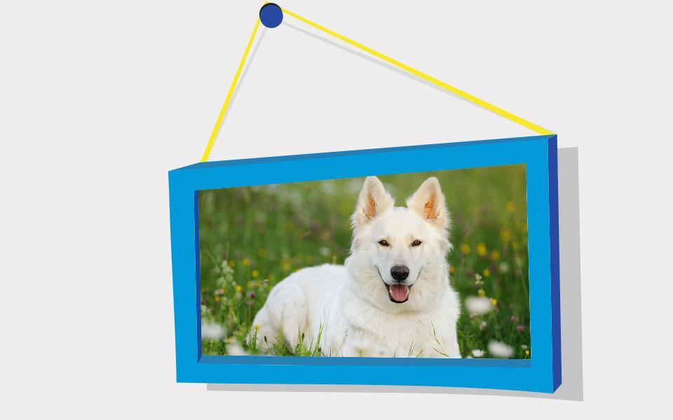 Picture Puzzle: German Shepher