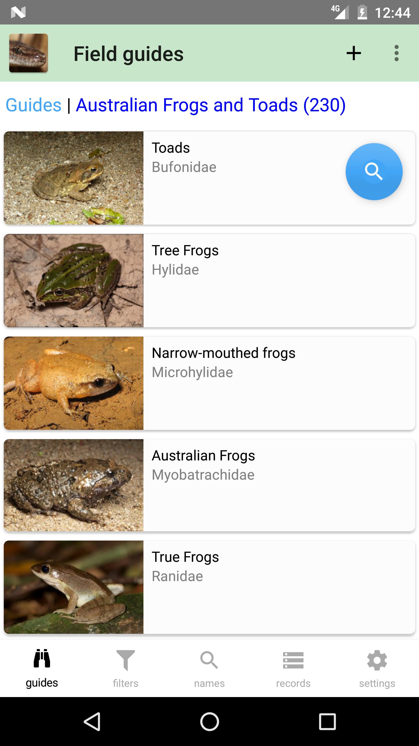 Australian Reptiles and Frogs