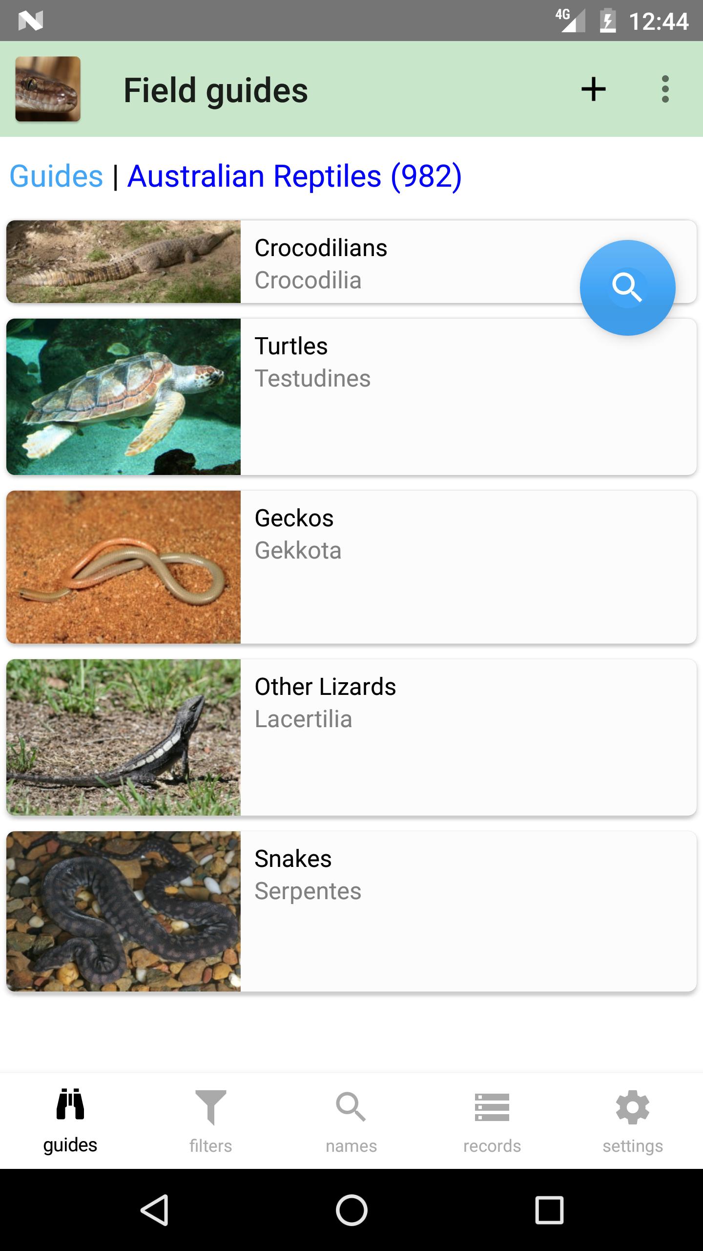 Australian Reptiles and Frogs