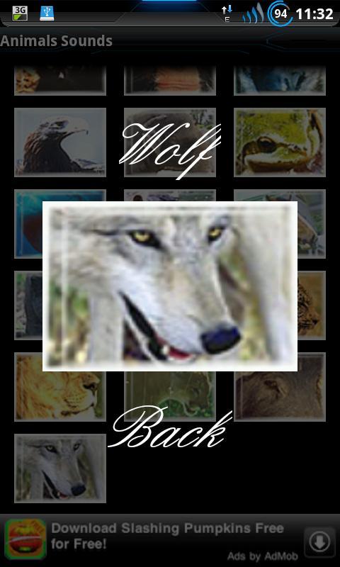 Best Real Animal Sounds Free