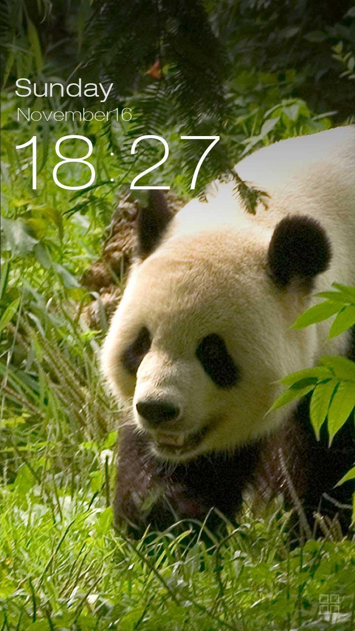 ZUI Locker Theme - Panda
