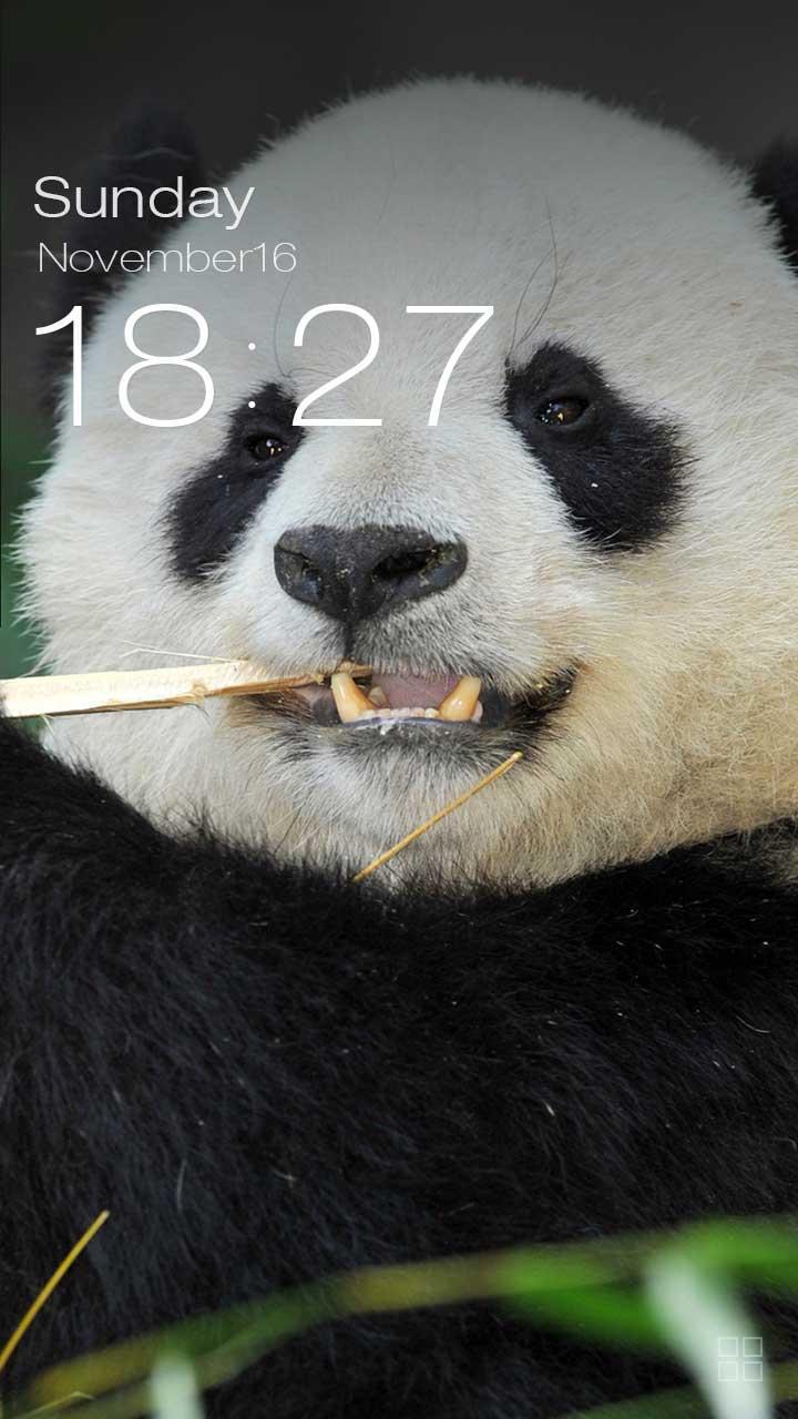ZUI Locker Theme - Panda