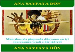 Bruce Lee 3D Wallpapers