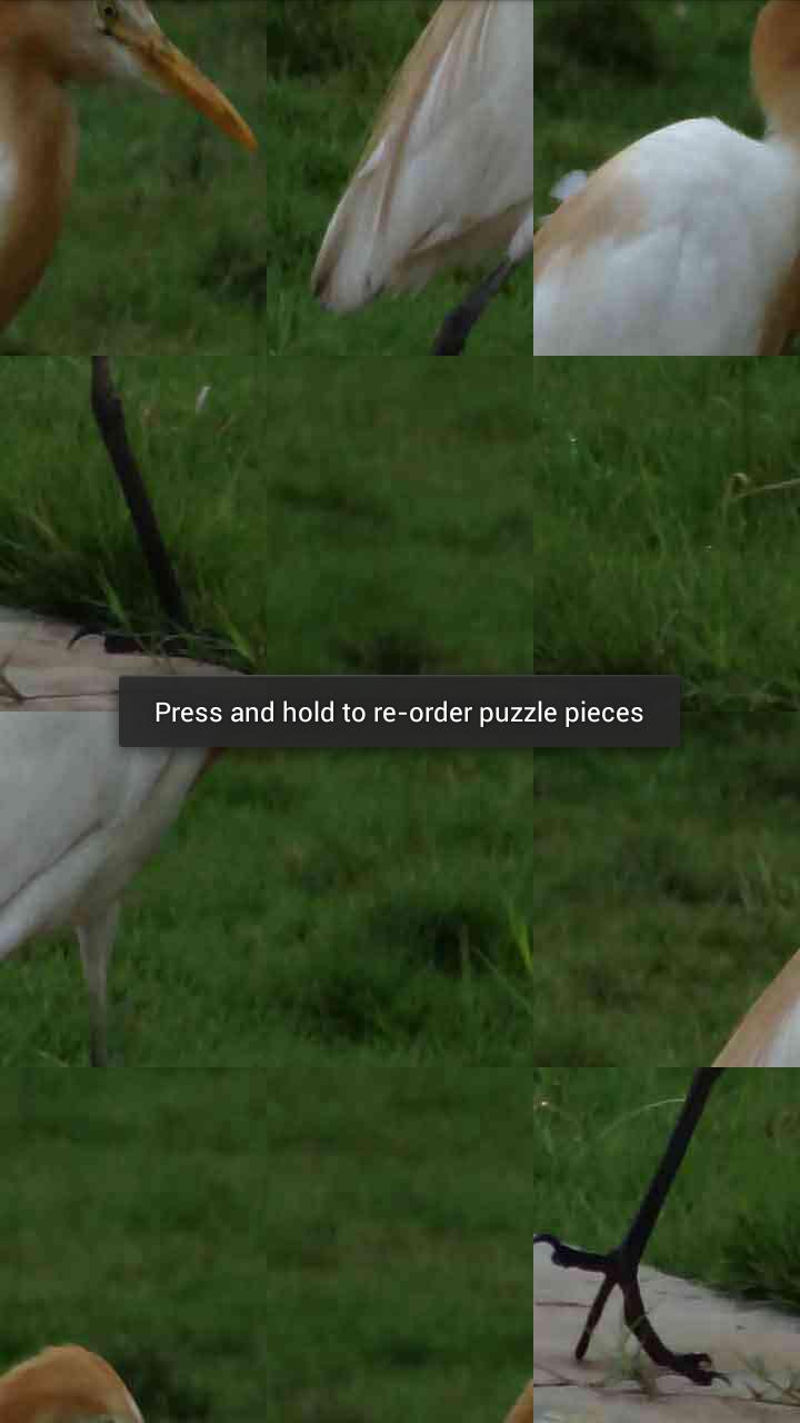 Jig-Saw - fun puzzle game