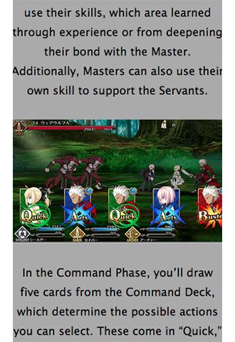 Battle Guide Fate Grand Order