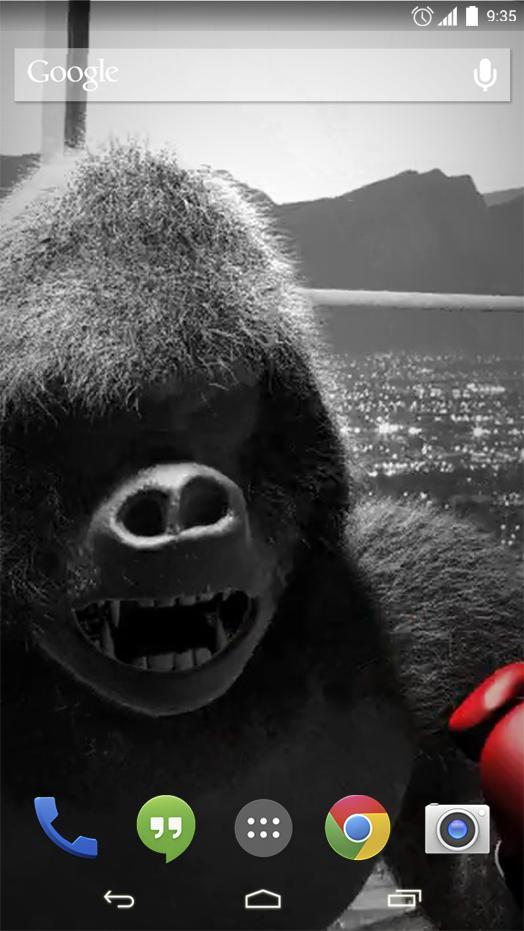 Monkey Boxing Live Wallpaper