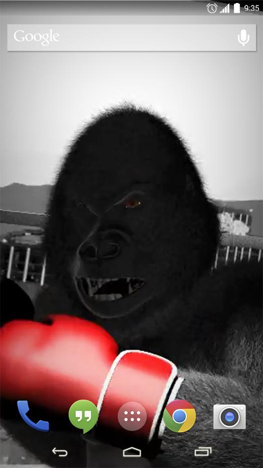 Monkey Boxing Live Wallpaper