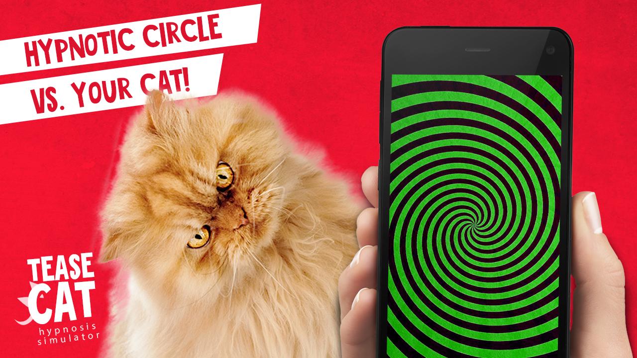 Tease Cat! Hypnosis simulator