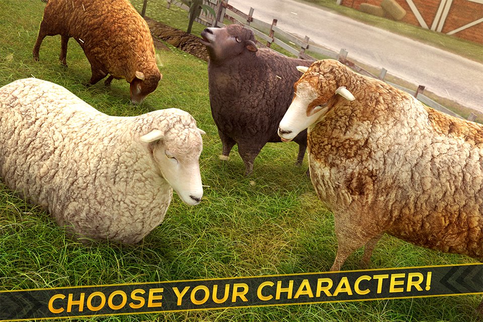 Sheep Racing Adventure Game 3D