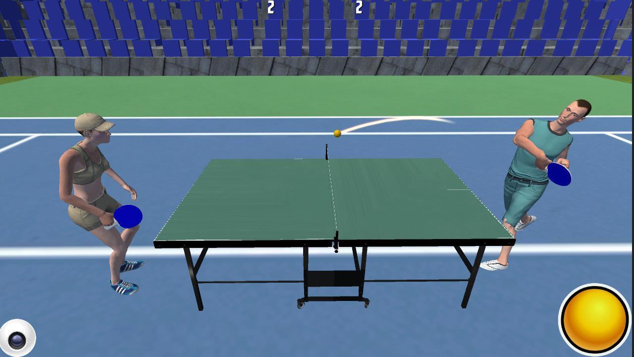 Ping Pong Table Tennis Pro