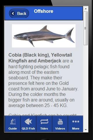 Guide to Fishing Gold Coast