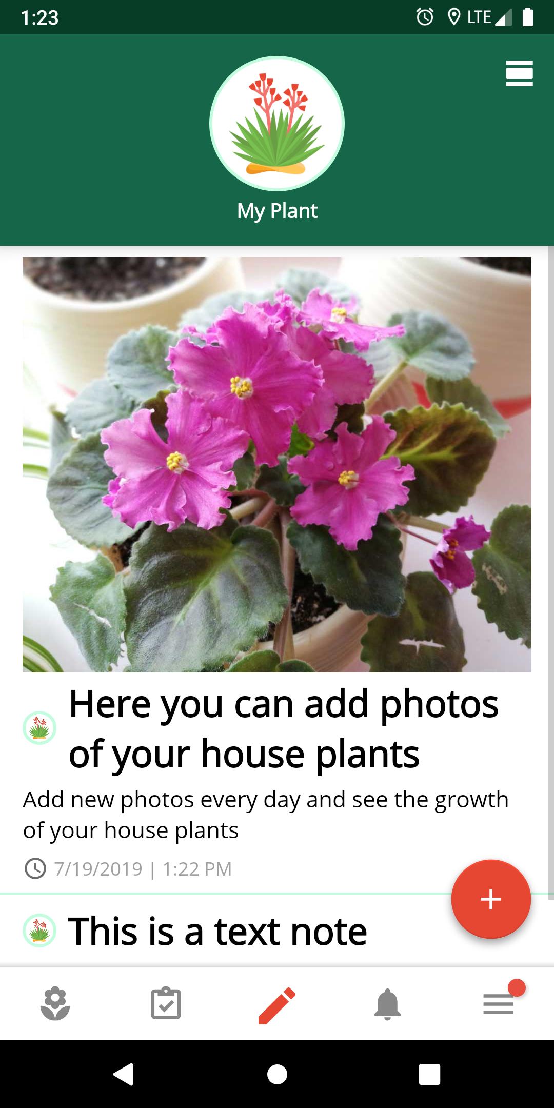 House plants - gardener diary,