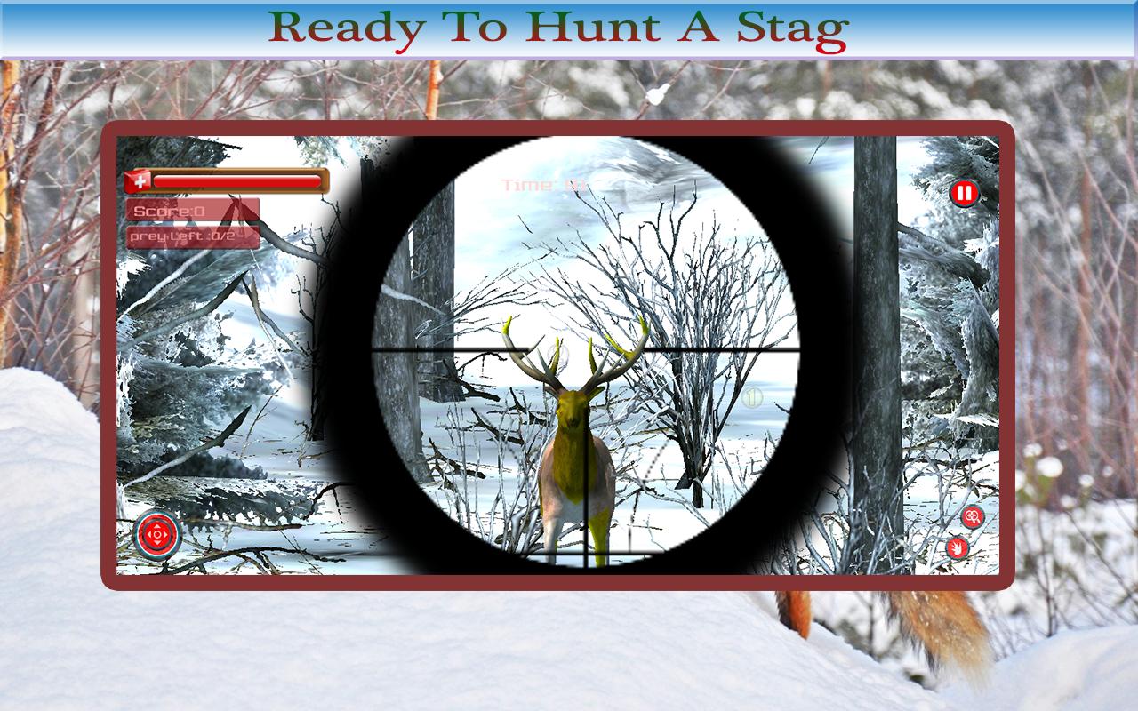 Animals Hunting 2015