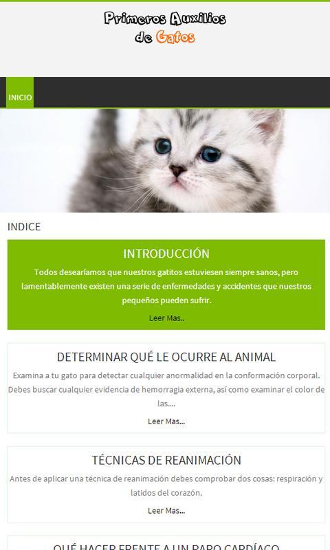 Gatos, Primeros Auxilios