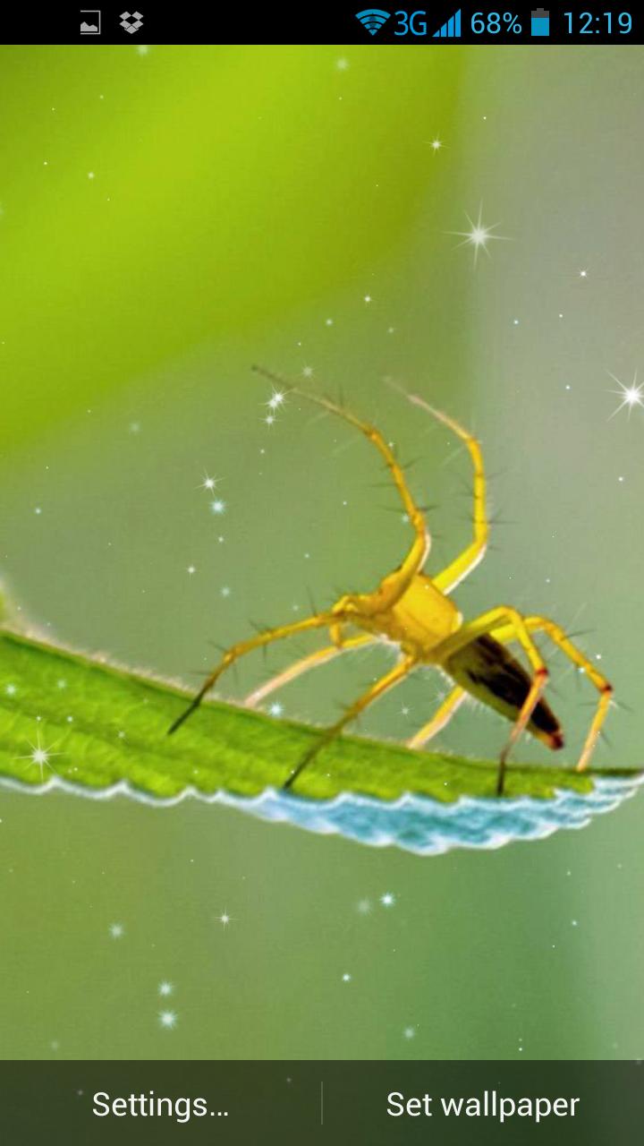 Spider Live Wallpaper