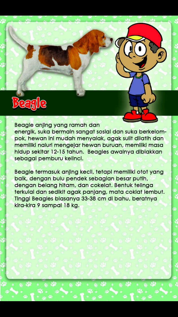 Mengenal Jenis Anjing dari A-Z