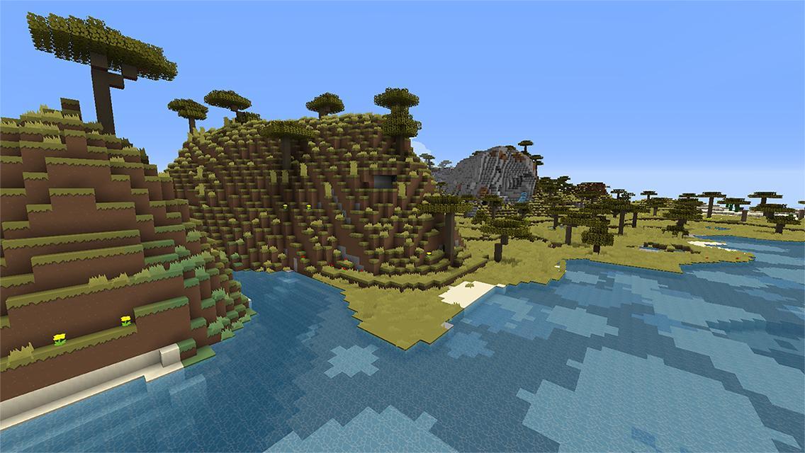 Pocket Mine Exploration