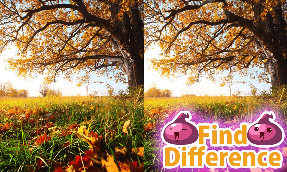 Guess the Difference 33
