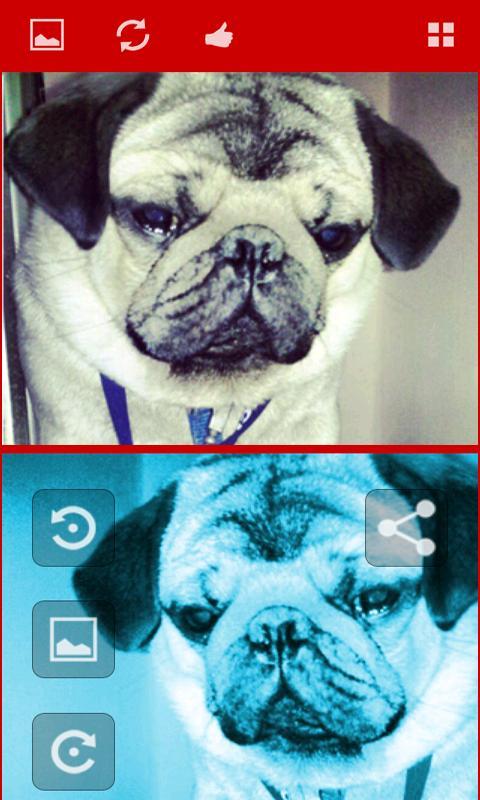 Compare Pictures