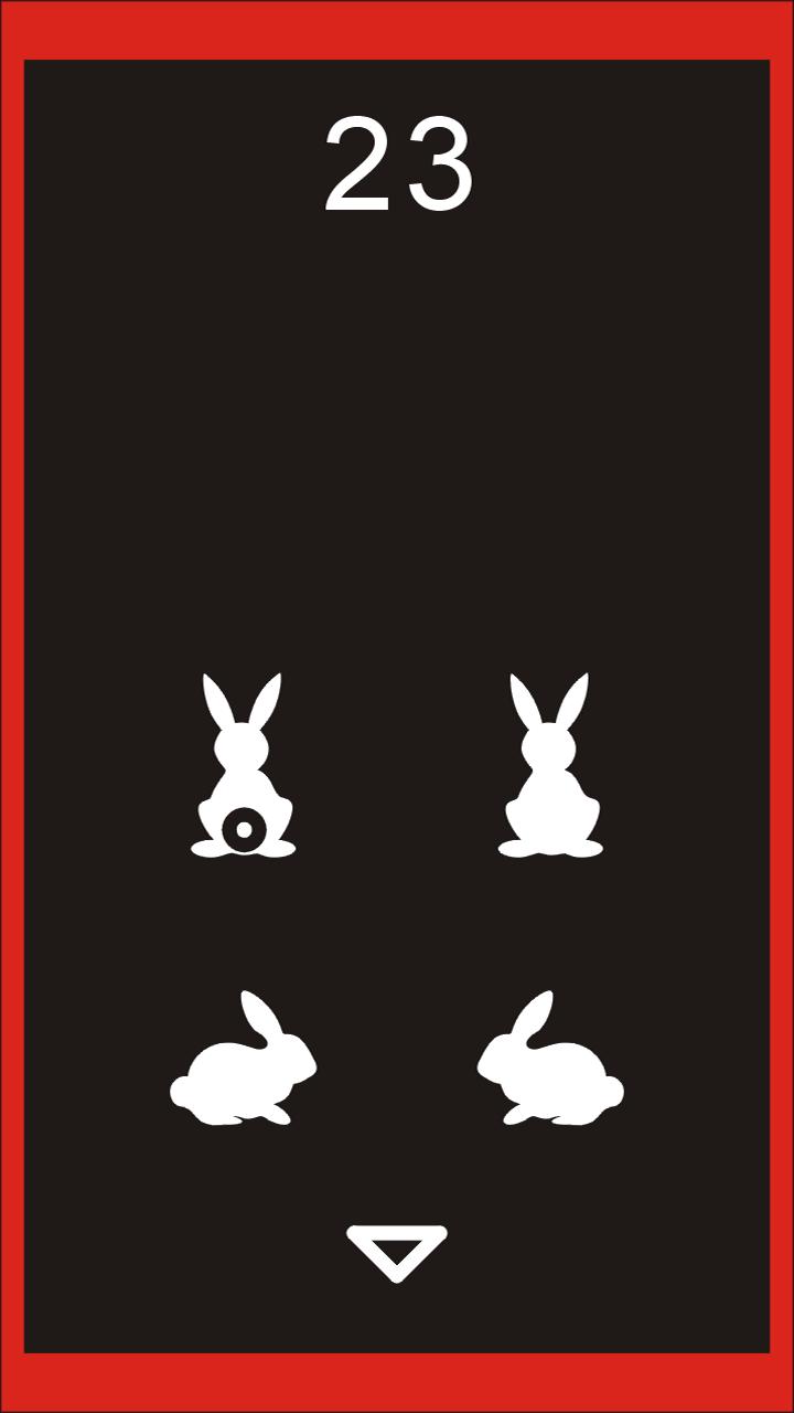 showabbit