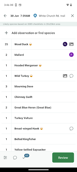 eBird