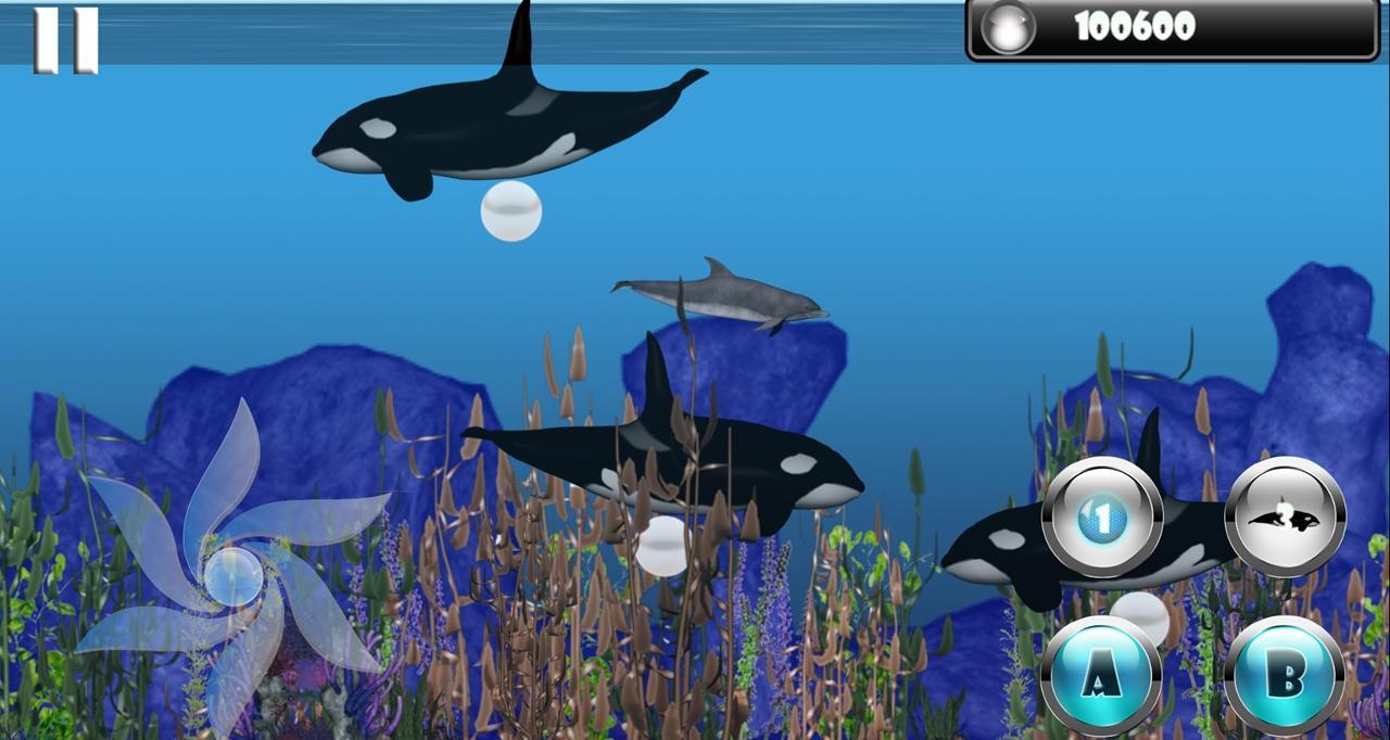 Dolphin Dash