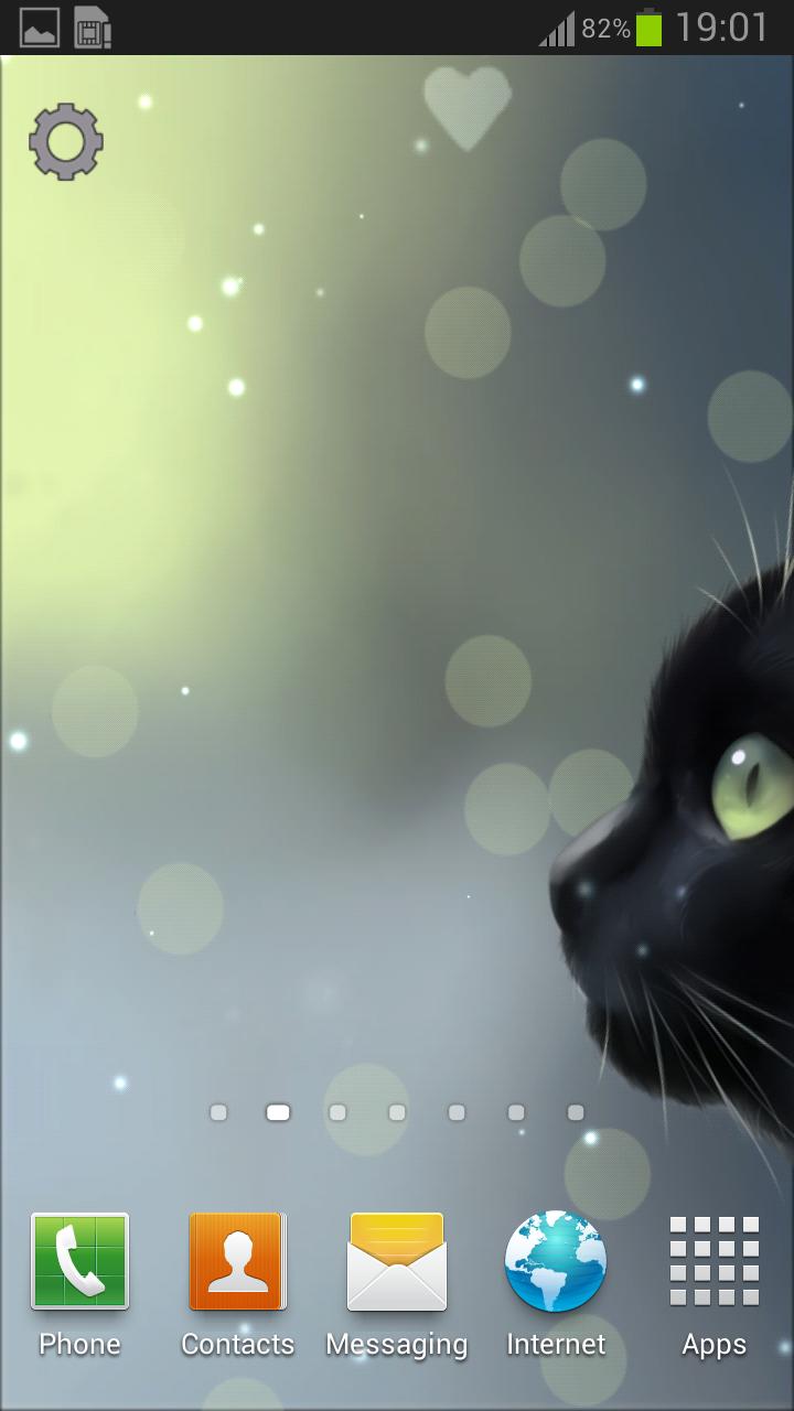 Curious Cat Lite